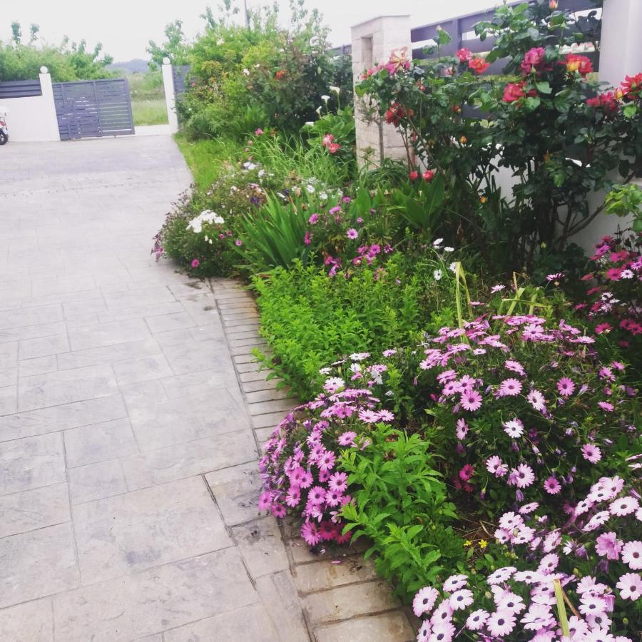 Dream House Διαμέρισμα Πρέβεζα Εξωτερικό φωτογραφία
